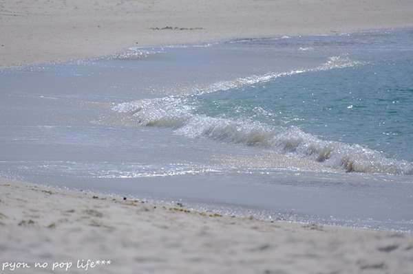 DSCF0767 - ���ԡ�resized