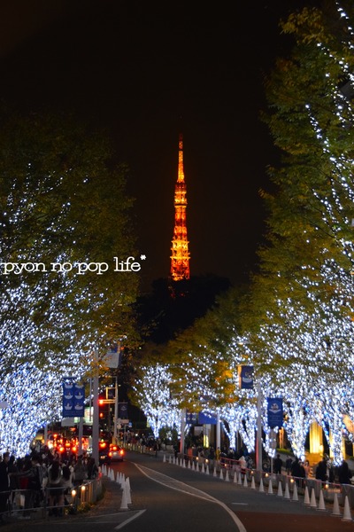 blogDSC_9303 - ���ԡ�