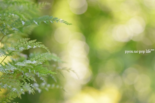 DSC_5653 - ���ԡ�resized