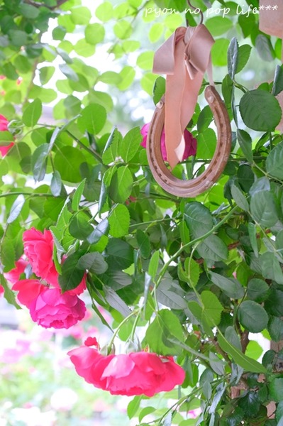 DSCF2071 - ���ԡ�resized