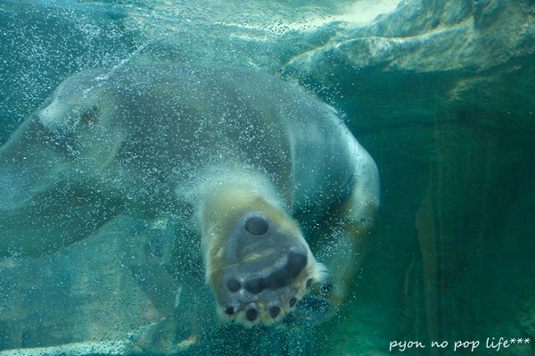 DSCF9593 - ���ԡ�resized