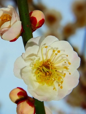 R0042111