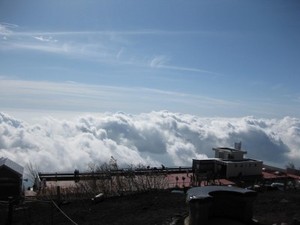 IMG_0926