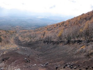 IMG_0905
