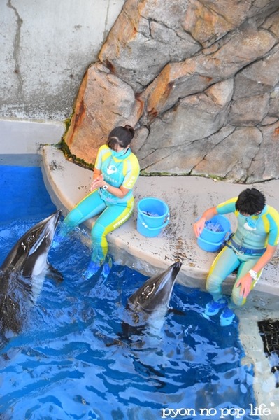 blogDSC_9250 - ���ԡ�