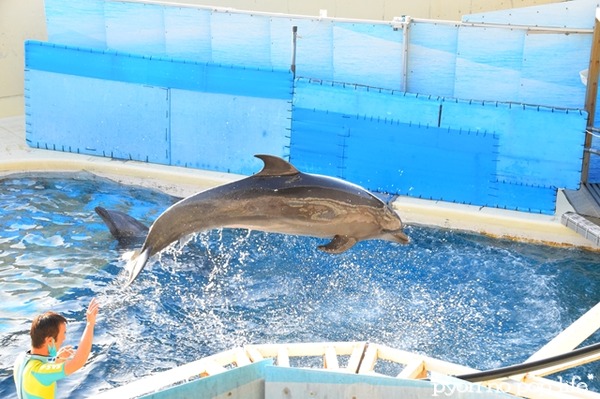 blogDSC_9238 - ���ԡ�