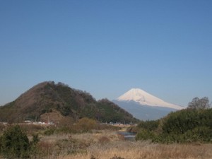 IMG_1665