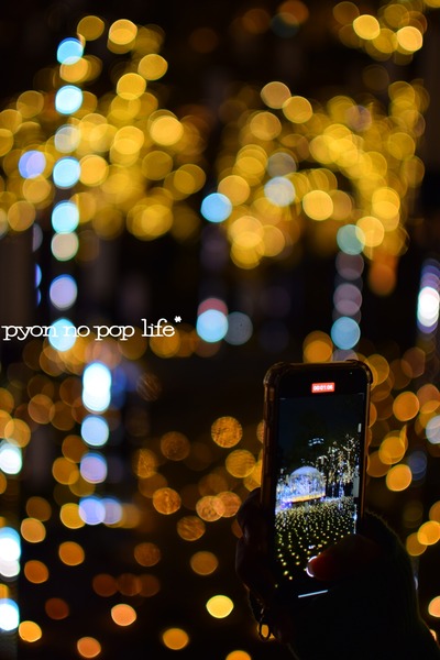 blogDSC_9474 - ���ԡ�