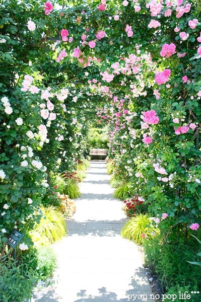 DSCF2319 - ���ԡ�resized