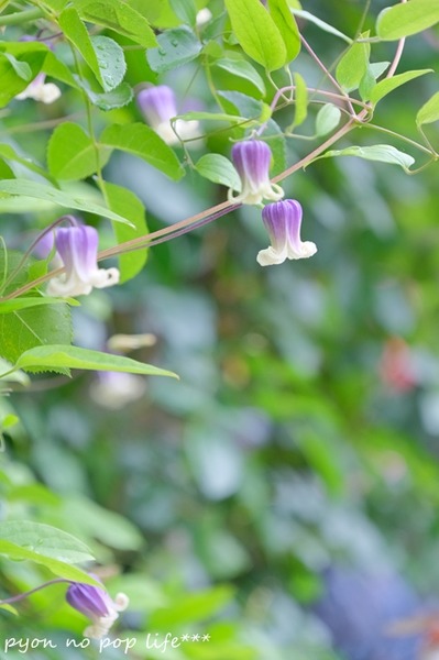 DSCF2072 - ���ԡ�resized