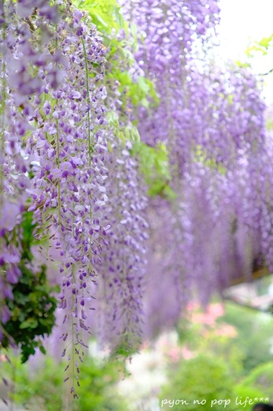 DSCF0971 - ���ԡ�resized