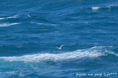 DSCF0851 - ���ԡ�resized