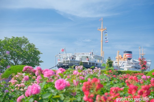 DSCF2438 - ���ԡ�resized