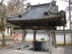 IMG_1739