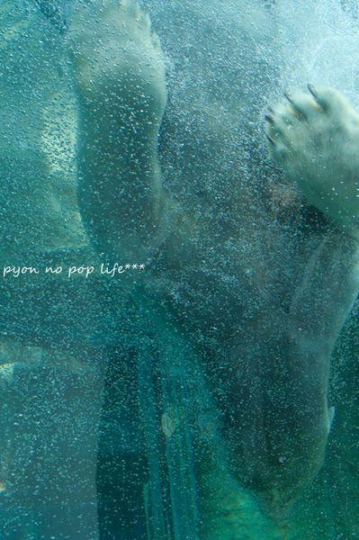 DSCF9563 - ���ԡ�resized