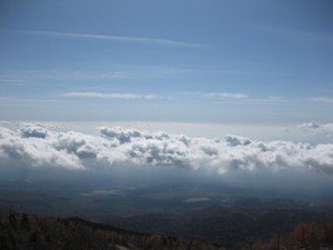 IMG_0901