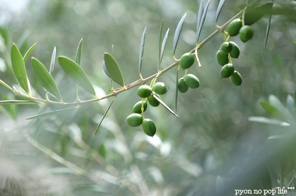 DSCF3511 - ���ԡ�resized