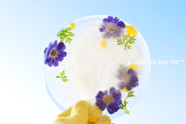 DSC_3804 - ���ԡ� - ���ԡ�