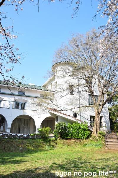 DSC_7535 - ���ԡ�