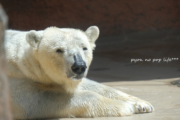 DSCF9509 - ���ԡ�resized