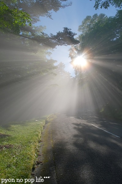 DSCF3299 - ���ԡ�resized