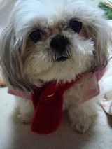 ���ޤդ���