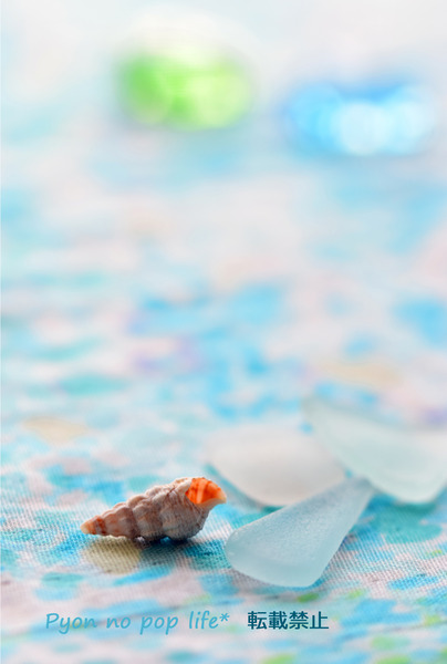 DSC_1856 -33%blog pyon�Υ��ԡ�