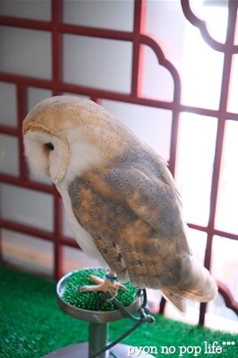 DSCF2395 - ���ԡ�resized