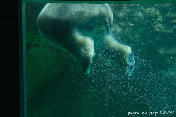 DSCF9544 - ���ԡ�resized