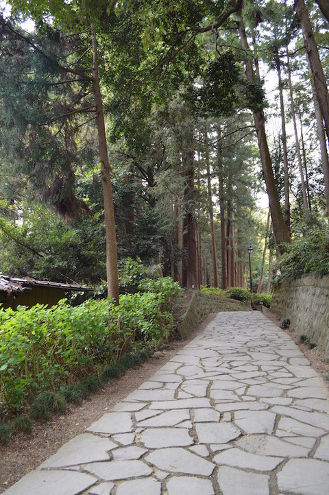 DSC_1417