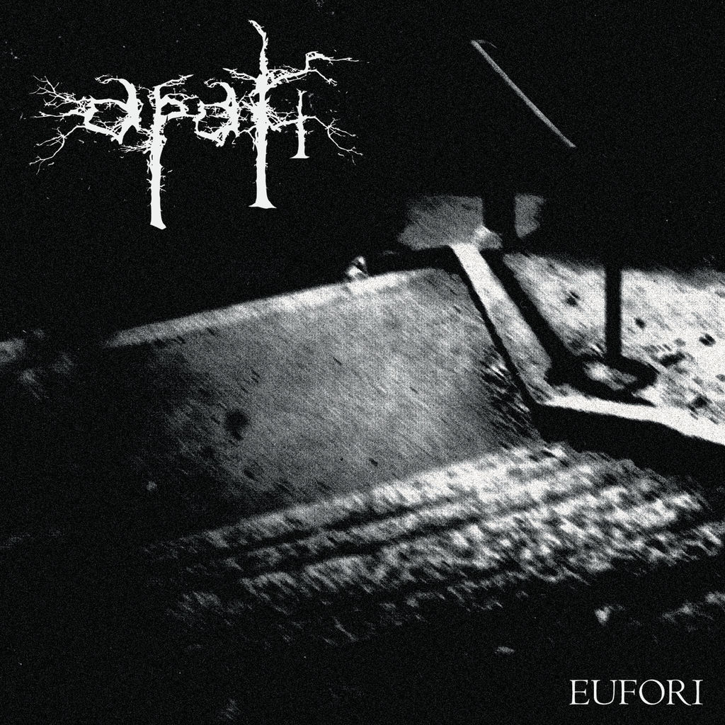 Apati : Depressive Suicidal Black Metal Mania