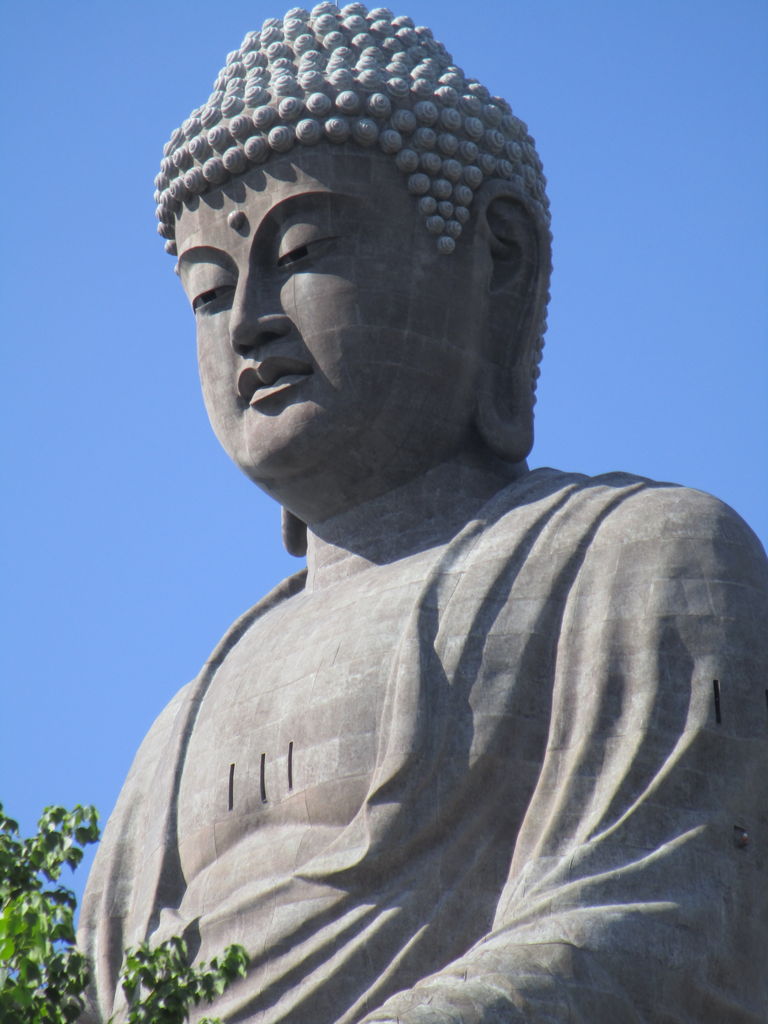 牛久大仏へ行ってきました ホームステーションらいふ大宮のブログ
