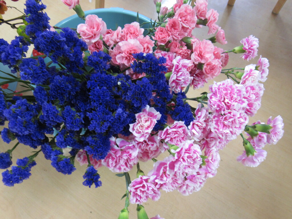 生け花 ホームステーションらいふ指扇のブログ