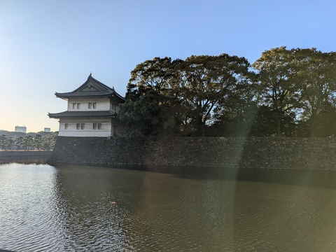 PXL_20251216_055259654.MP