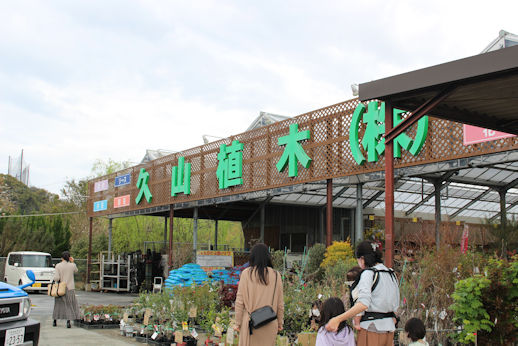 春のお花を仕入れに行ってきましたわ ランラン Scale Powered By ライブドアブログ