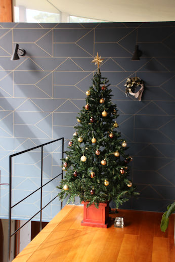 クリスマス準備その２ 我が家のツリーたち Scale Powered By ライブドアブログ