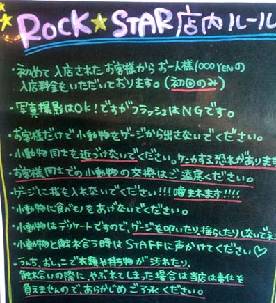 小動物たちと触れ合いたい人にピッタリなカフェ ハリネズミ フェレット モモンガ ウサギ ハムスターetcに出会える大阪 難波 小動物カフェ Rock Star ロックスター はっしんのトレンド 小動物たちと触れ合いたい人にピッタリなカフェ ハリネズミ フェレット モモンガ ウサギ ハムスターetcに出会える大阪 難波 小動物カフェ Rock Star ロックスター はっしんのトレンド