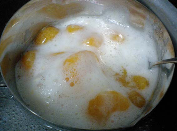 みかんで実験 手作りフルーチェ の作り方 はっしんの実験