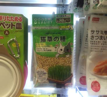 普通に買ったら300円ぐらいの 猫の草 自分で育てたら10分の1以下で作れる 100円ショップで購入できる 猫草の種 キャットグラスの種 はっしんのお得