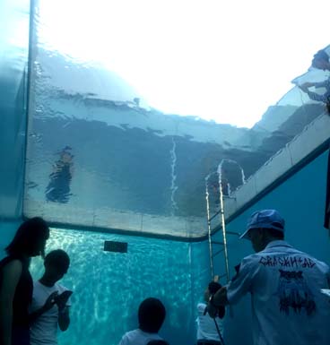 現代美術好きや モダンアート好きなら楽しめる観光名所 インスタ映え Sns映えする レアンドロ エルリッヒの スイミング プール が必見の 金沢 21世紀美術館 はっしんの旅 現代美術好きや モダンアート好きなら楽しめる観光名所 インスタ映え Sns映えする レアンドロ エルリッヒの スイミング プール が必見の 金沢 21世紀美術館 はっしんの旅