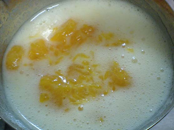 みかんで実験 手作りフルーチェ の作り方 はっしんの実験