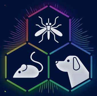 虫や動物でお困りの人に役立つかもしれないアプリ 周波数の異なる超音波を出してハエ 蚊 犬 猫 ネズミ 人 若者 を追い払う 超音波バリア はっしんの電脳 虫や動物でお困りの人に役立つかもしれないアプリ 周波数の異なる超音波を出してハエ 蚊 犬 猫 ネズミ 人 若者 を追い払う 超音波バリア はっしんの電脳