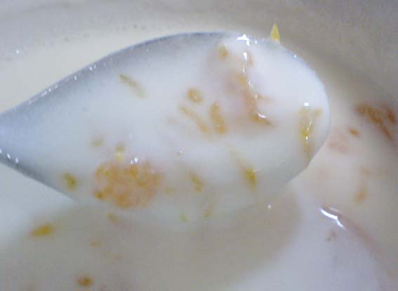 みかんで実験 手作りフルーチェ の作り方 はっしんの実験