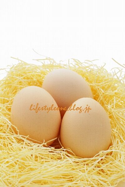 egg