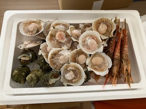 IMG_0439