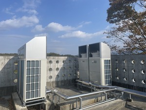 IMG_5594