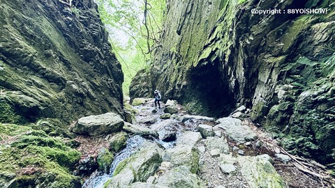 2026-05-03_07-26-44_474