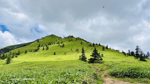 IMG_E0909