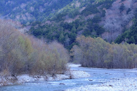 raw-.jpg-2493