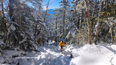 名称未設定_1.1.27-2